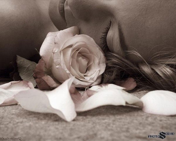 Дост Участок