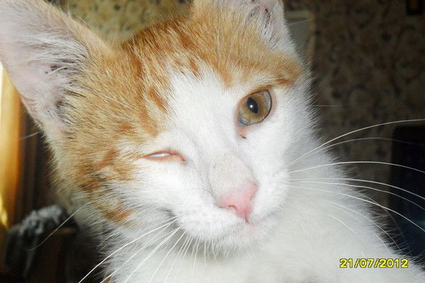 Азамат Бикбаев