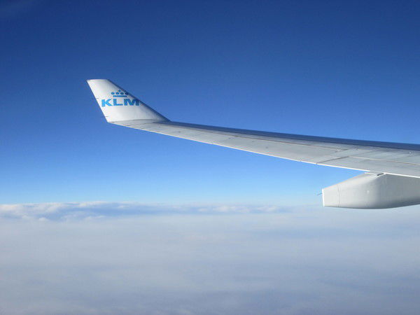 Елена Грачёва