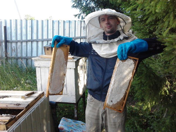 Пётр Вертепа