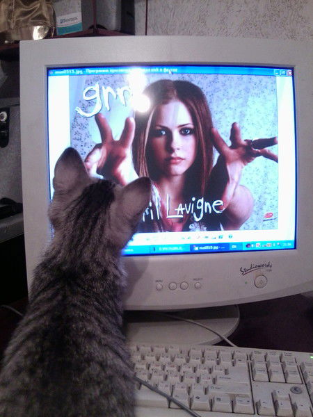 Алексей Кузнецов