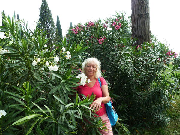 Анна Борисова