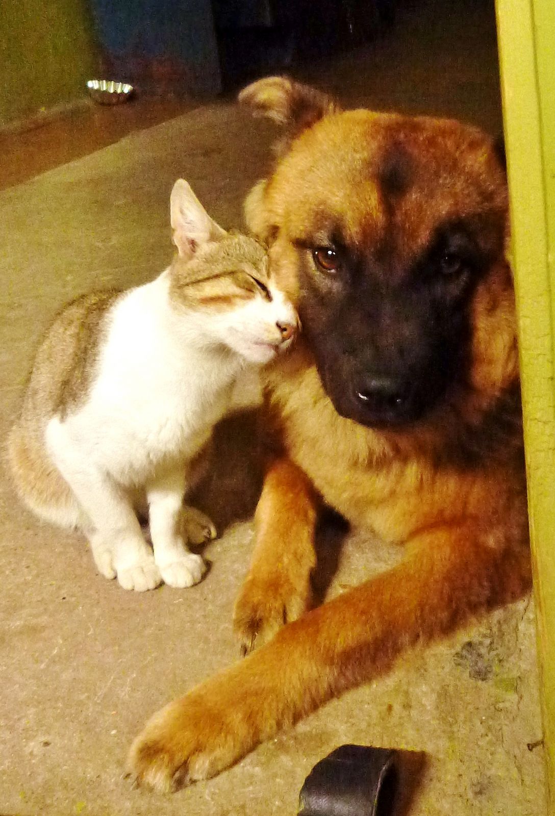 Наталья Корнеенко