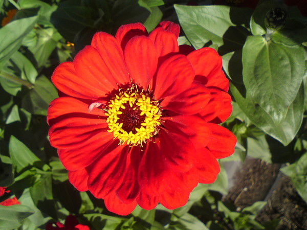 Татьяна Пилипенко