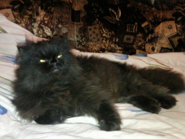 Маша Толмачева