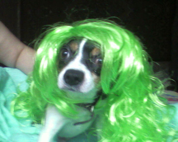 Владимир Клушин