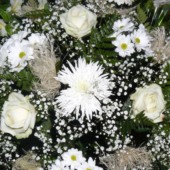 Людмила Галенкова