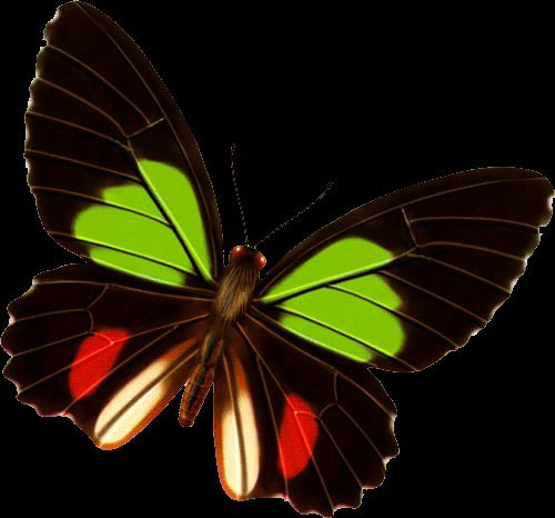 Алла Хлащёва