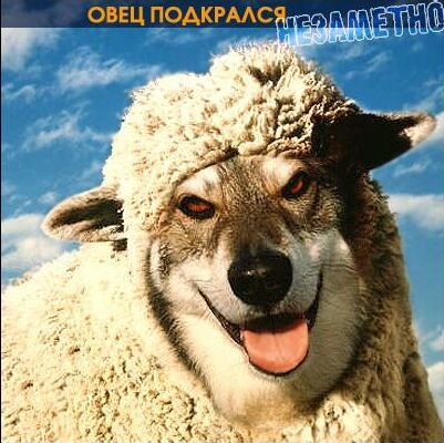 Ольга Салмина