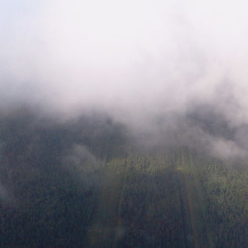 Игорь Пастушенко