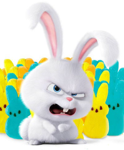 Рамиль Сафин