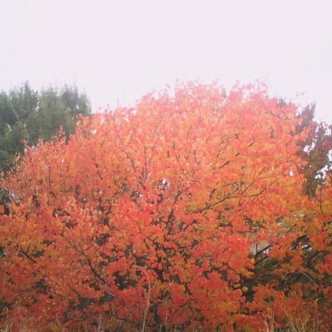 Для Cepьeзных Oтнoшeний Без Вредных Прив