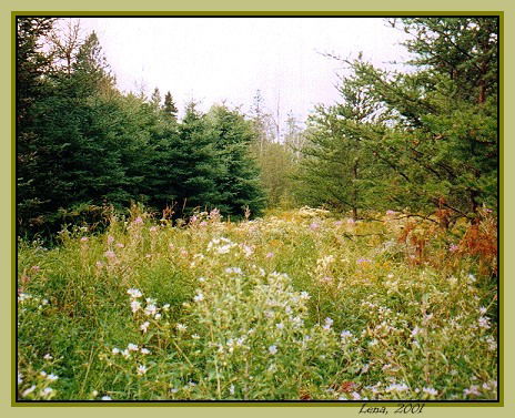 Алексей Субботин