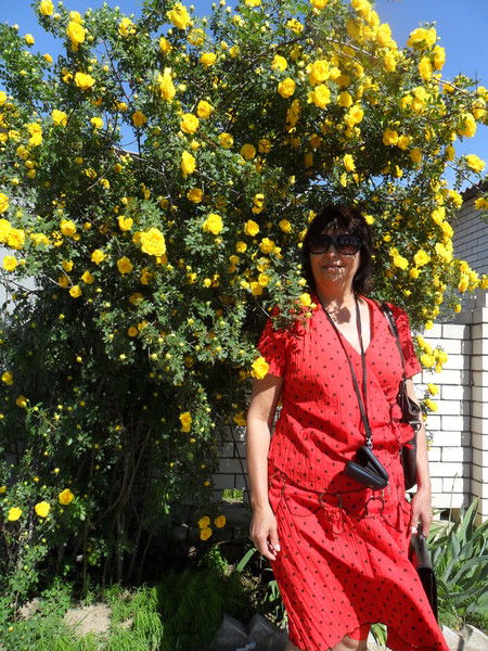 Людмила Васильева (Полякова)