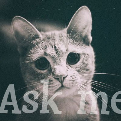 Алиса Климович