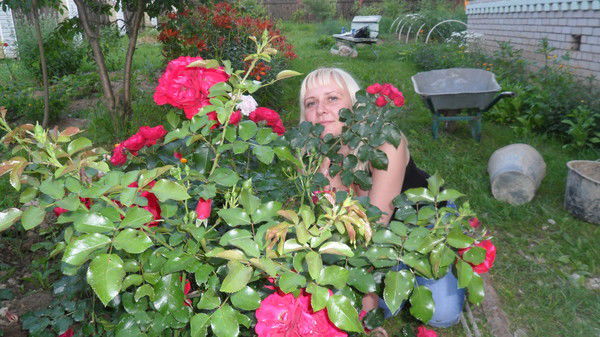 Наталия Матвеева