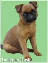 Екатерина Тарасова