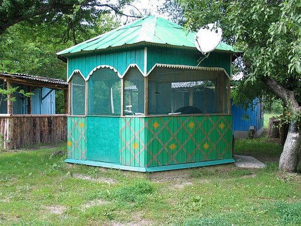 Дмитрий Стрижко