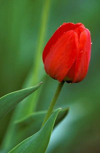 Любовь Любовь