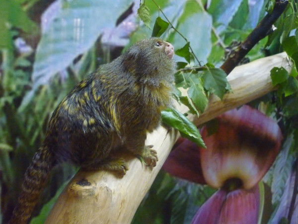 Ирина Калинина