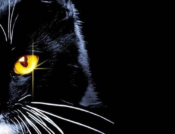 Леонид Антонов