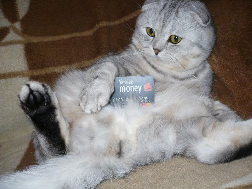 София Наливкина