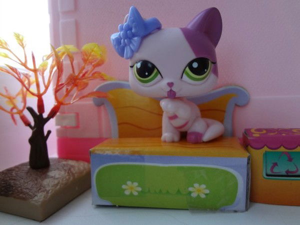 Елизавета Черепанова