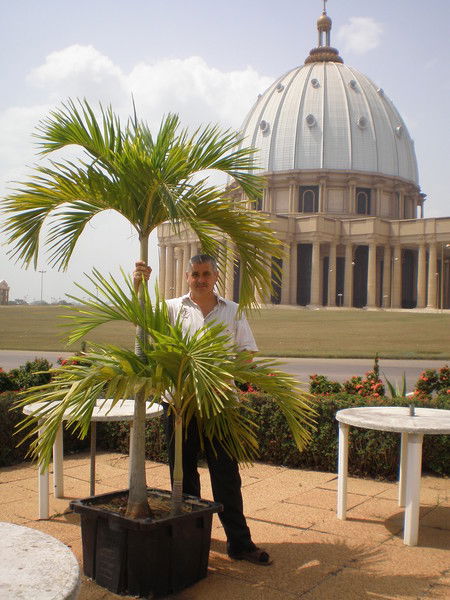 Александр Бессонов