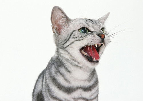 Лилия Гимадеева