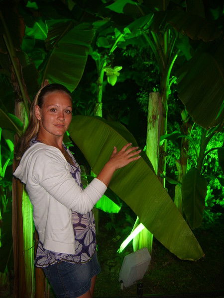 Валентина Медведкова