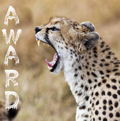 Дима Феникс