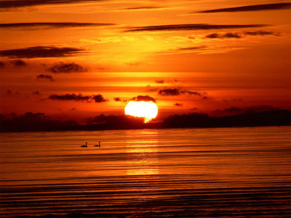 Елена Козлова