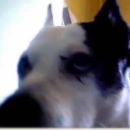 Надежда Тютрина