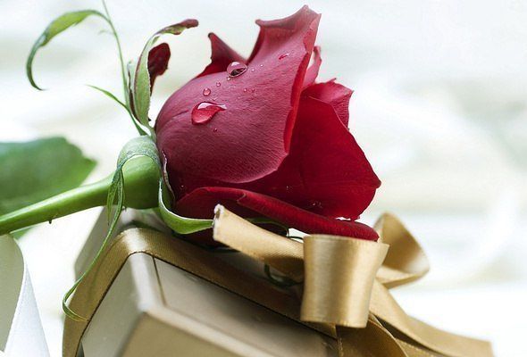 Наталия Богданова