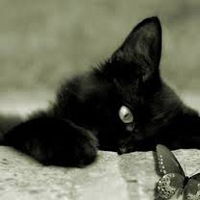 Катерина Добрякова