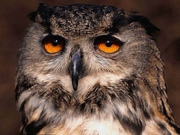 Наталья Иванова