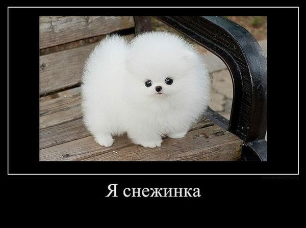 Елена Байдакова