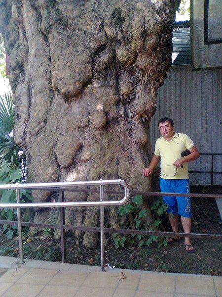 Aleksandr Kondratiev