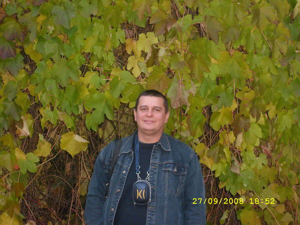 Дмитрий Бортунов