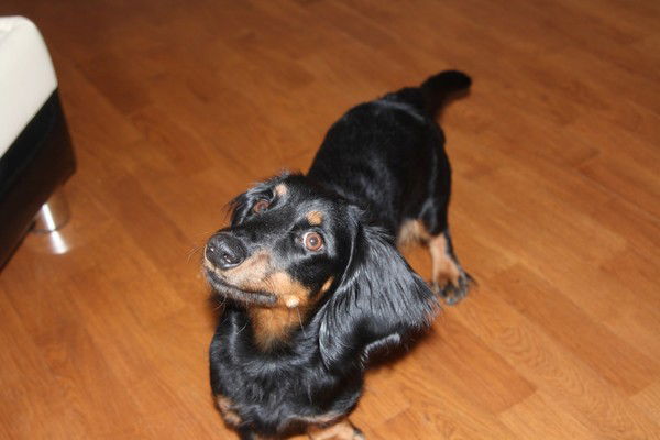 Анастасия К