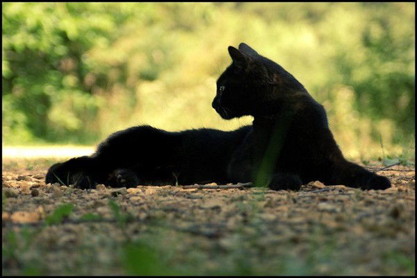 Ксения Сергеевна