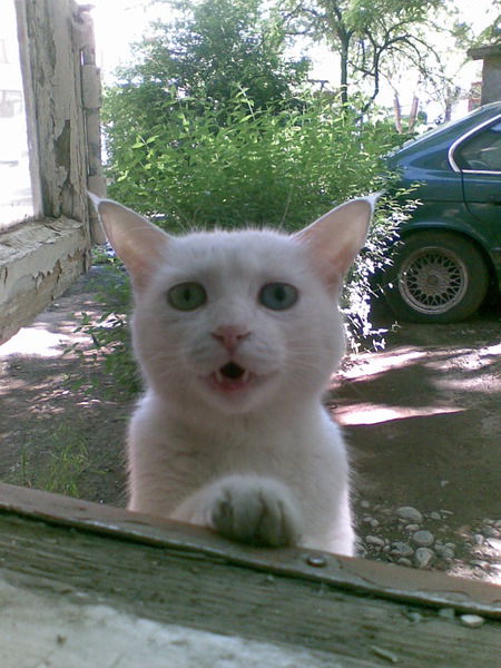 Ростислав Яковенко