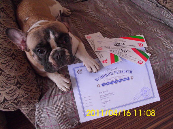 Юлия Владимировна