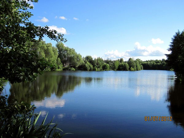 Марина Аникина