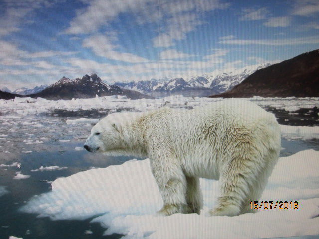 Александр Чертовской