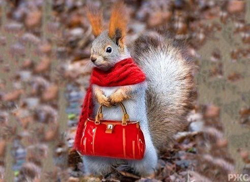 Светлана Ларионова