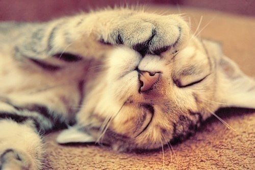 Галечка Сулагаева