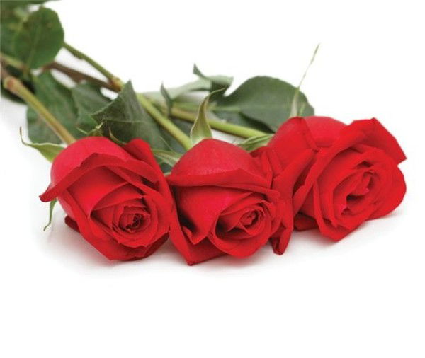 Динара Жанбырбаева