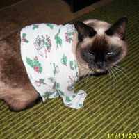 Сусанна Зырянова