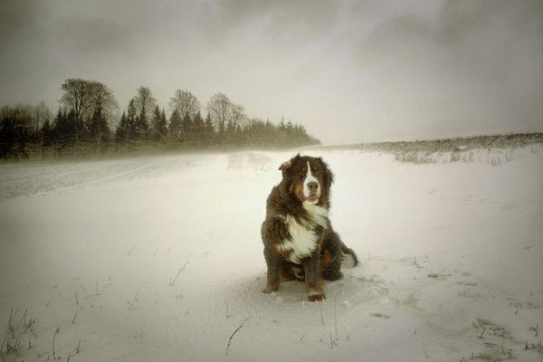 Игорь Меркулов